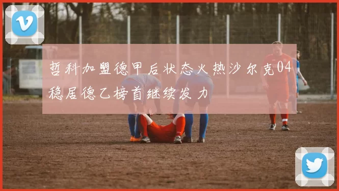 哲科加盟德甲后状态火热沙尔克04稳居德乙榜首继续发力