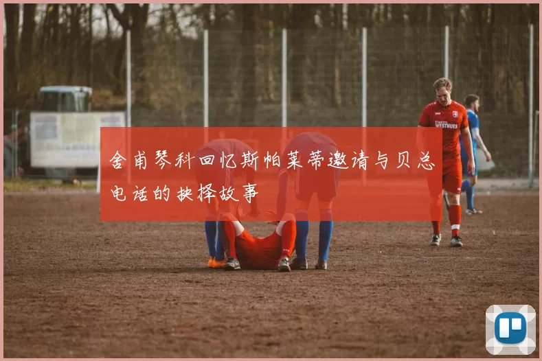 舍甫琴科回忆斯帕莱蒂邀请与贝总电话的抉择故事