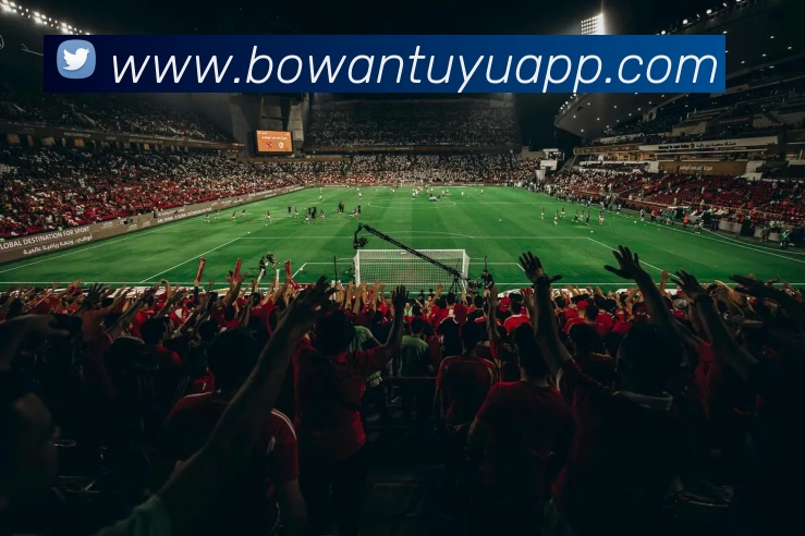 博万体育APP平台生态图